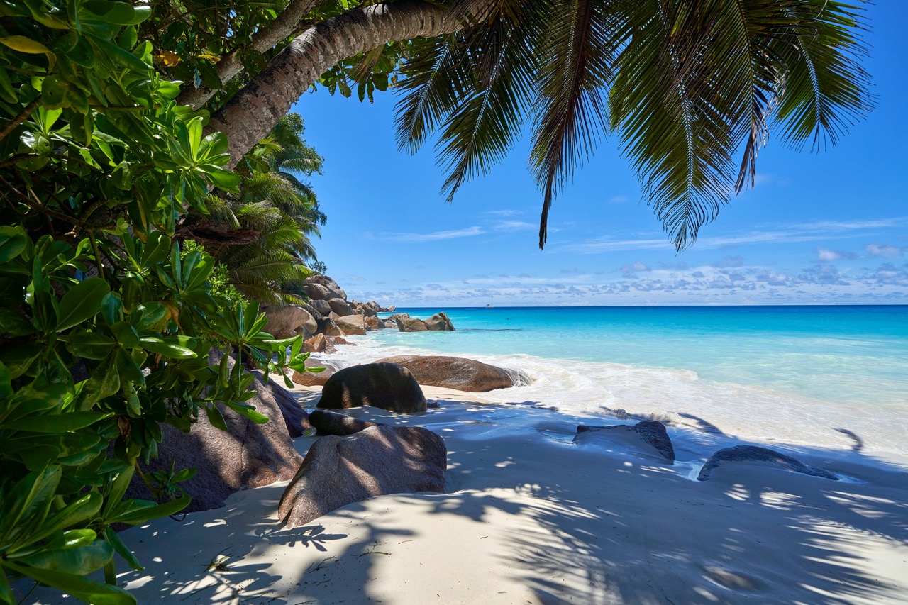 Plage authentique des Seychelles